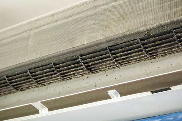 Best Air Duct Cleaning Near Me  in Tracyton, WA